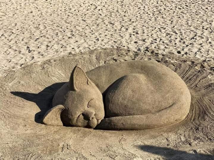 Апартамент Зорница Lägenhet Burgas Exteriör bild