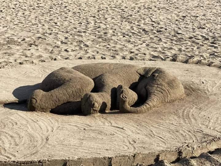 Апартамент Зорница Lägenhet Burgas Exteriör bild